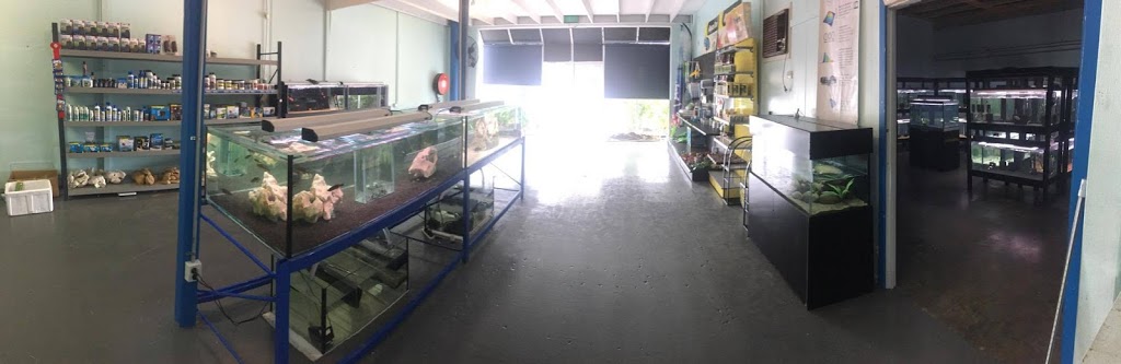 Fish Fanatics Aquarium | pet store | Factory 20/70/72 Cave Hill Rd, Lilydale VIC 3140, Australia | 0434409406 OR +61 434 409 406