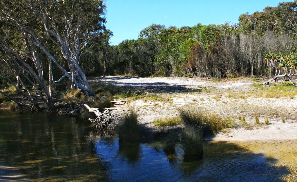 Bowarrady Creek camping area | campground | Fraser Island QLD 4581, Australia