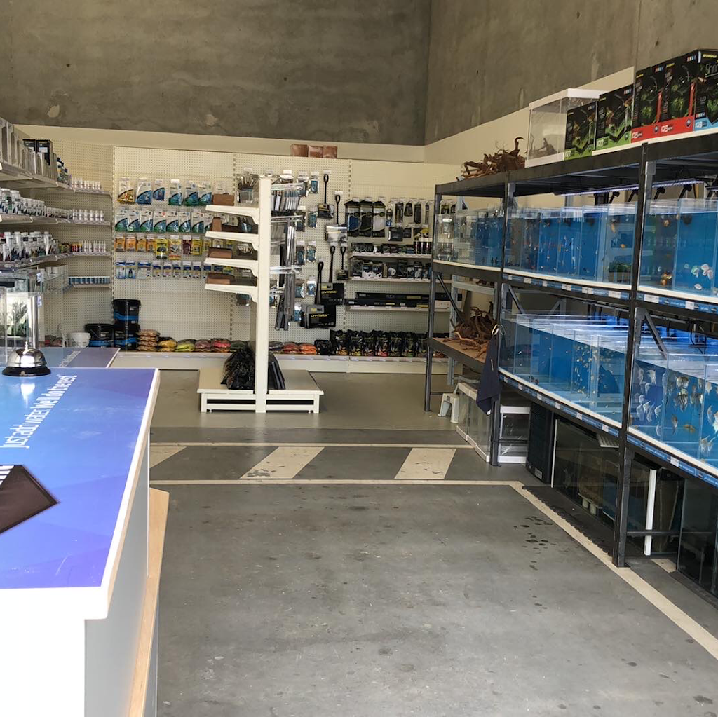 Kluggys Aquatics | pet store | 23/55 Commerce Cct, Yatala QLD 4207, Australia