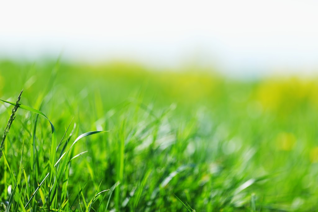 EZMow | 100 Nearra St, Deagon QLD 4017, Australia | Phone: 0450 669 592