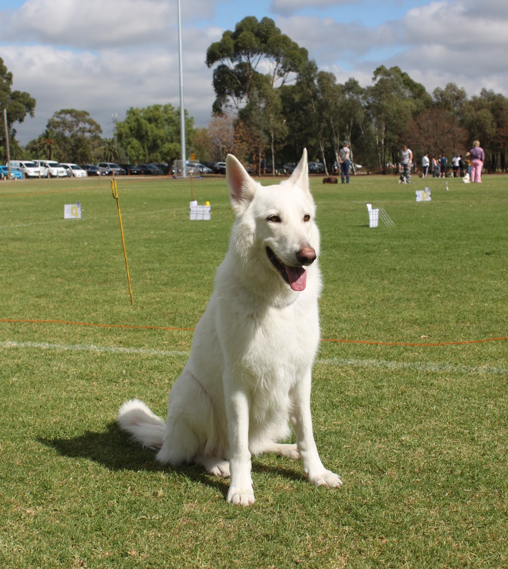 Northern Obedience Dog Club |  | 10 Rutherford St, Aberfeldie VIC 3039, Australia | 0393751410 OR +61 3 9375 1410