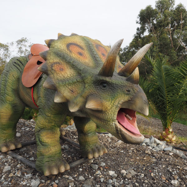 Dinosaur Sales | amusement park | 560 Robinsons Rd, Langwarrin VIC 3910, Australia | 0476618066 OR +61 476 618 066