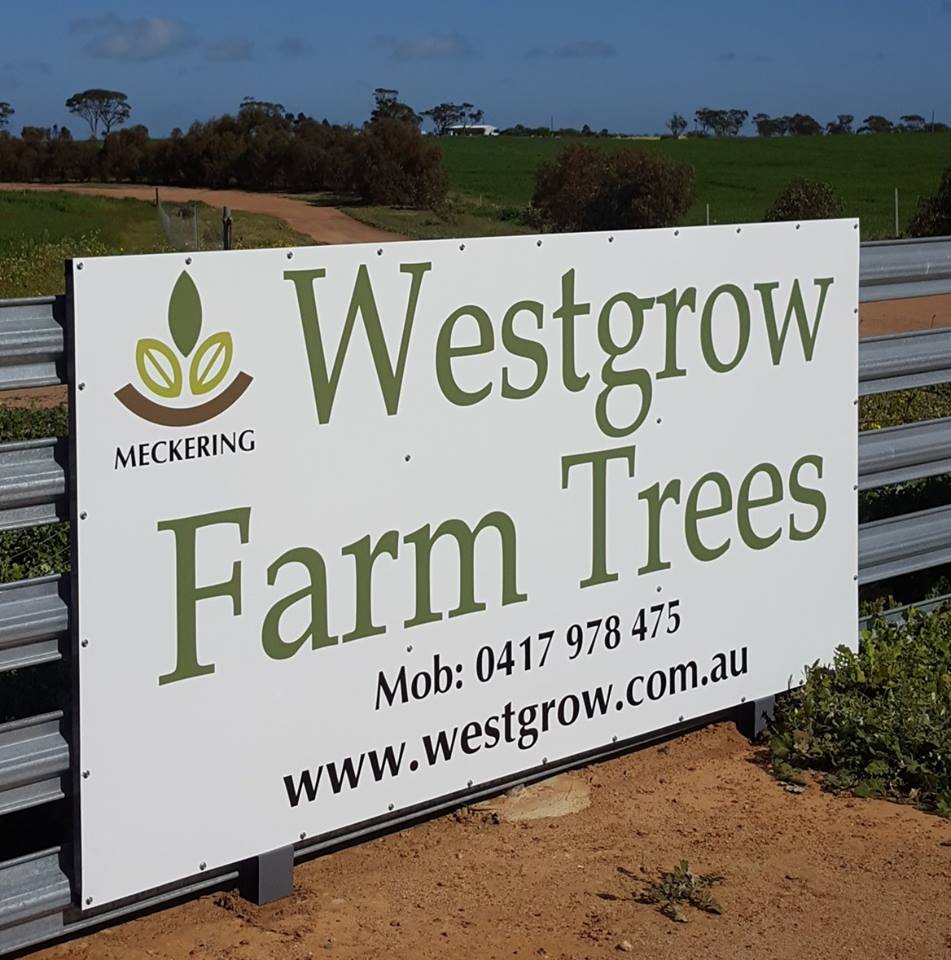 Westgrow Farm Trees | Quellington Rd, Meckering WA 6405, Australia | Phone: 0428 739 477