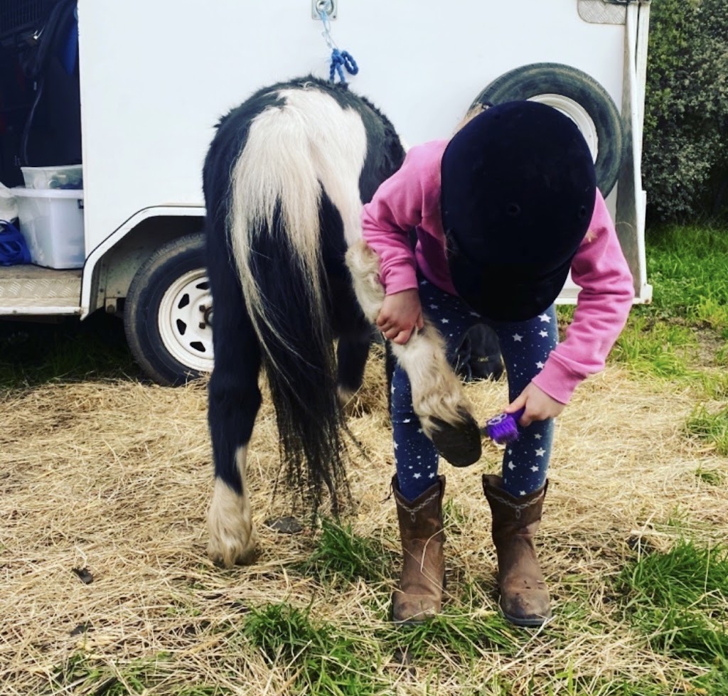 Blu Sky Pony Rides | 125 Beveridge Rd, Beveridge VIC 3753, Australia | Phone: 0413 079 219