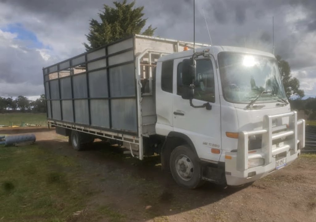 Blueys Livestock Transport | 383 Princes Hwy, Nowra NSW 2541, Australia | Phone: 0487 459 166