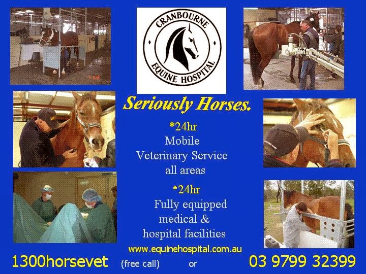 1300HorseVet | veterinary care | 350 Clyde-Five Ways Rd, Clyde VIC 3978, Australia | 0397993299 OR +61 3 9799 3299