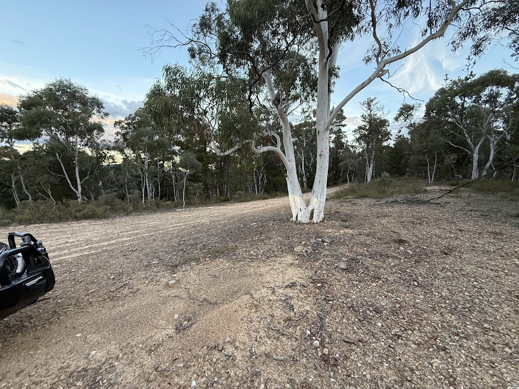 Lidsdale State Forest | Great Western Hwy, Wallerawang NSW 2845, Australia | Phone: 1300 655 687 Lidsdale State Forest | Great Western Hwy, Wallerawang NSW 2845, Australia | Phone: 1300 655 687