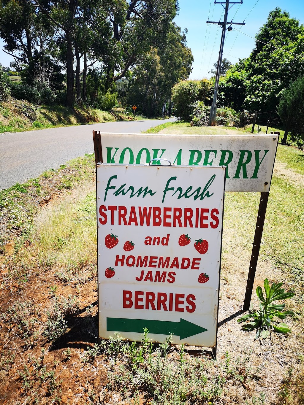 Kookaberry Strawberry Farm | 25 Lewis Rd, Wandin VIC 3139, Australia | Phone: 0415 768 222
