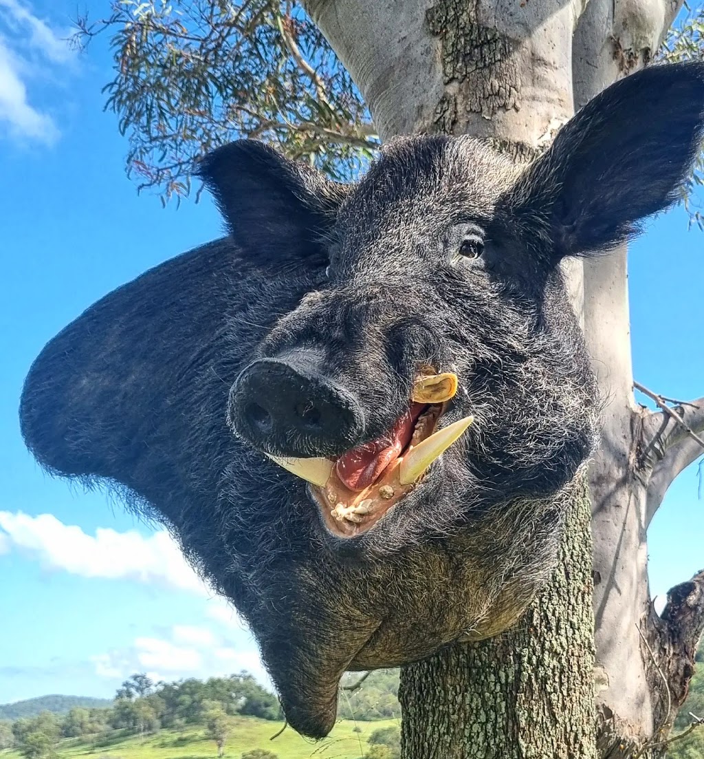 Riverleigh Taxidermy | 6706 National Highway 15, Aratula QLD 4309, Australia | Phone: (07) 5463 8512