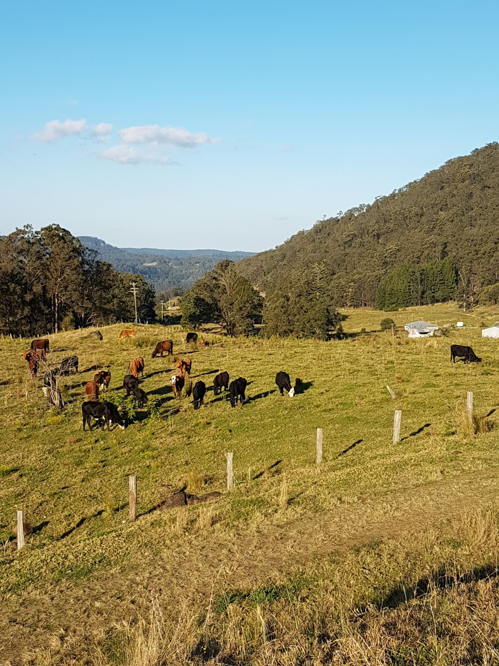 Nimbin Headers Sports Club | 40 Cecil St, Nimbin NSW 2480, Australia | Phone: 0417 298 642