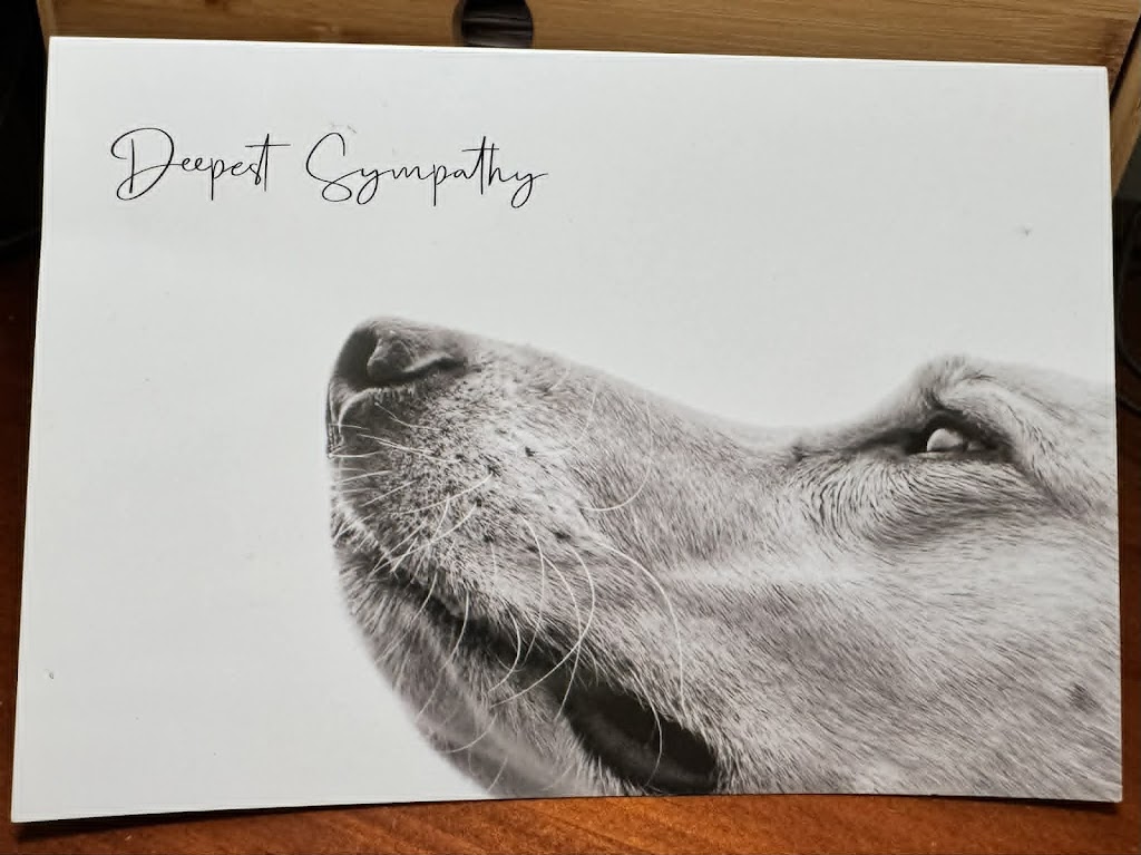 Dayboro Vet Surgery | 125 McKenzie St, Dayboro QLD 4521, Australia | Phone: (07) 3425 1544