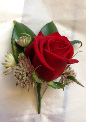 Tricia Ferguson flowers | florist | Summerlea Rd, Mount Dandenong VIC 3767, Australia | 0400634951 OR +61 400 634 951