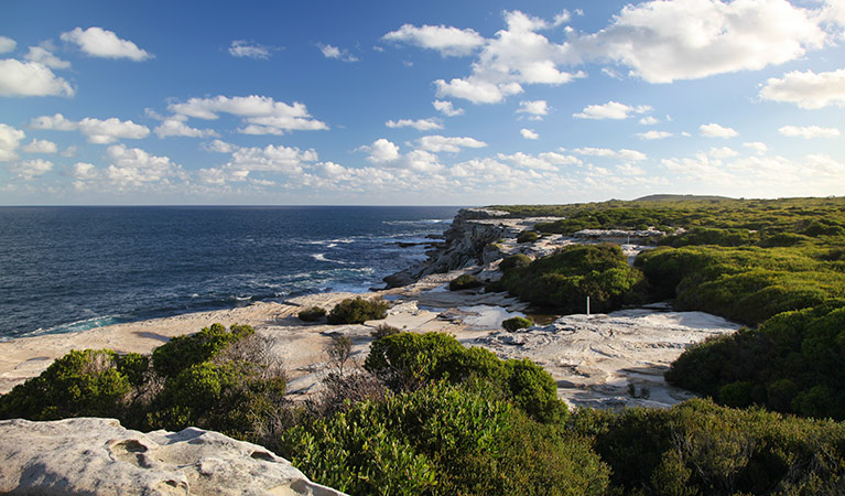 Kamay Botany Bay National Park | Yena Gap Trail, Kurnell NSW 2231, Australia | Phone: (02) 9311 3379