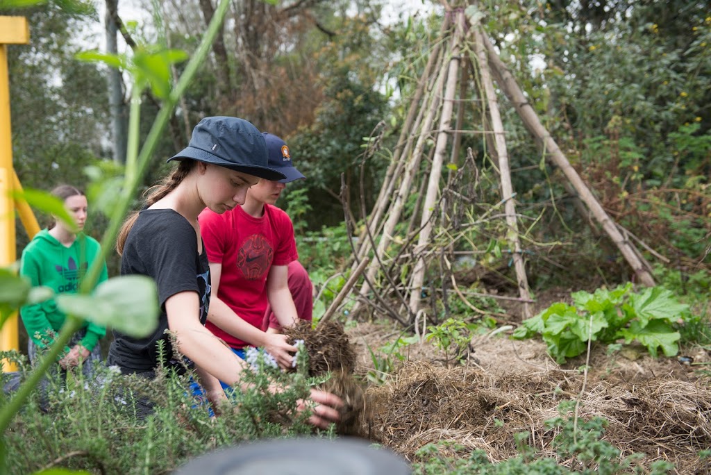 Permaculture Education Institute |  | Crystal Waters Permaculture Village, Conondale QLD 4552, Australia | 0754944833 OR +61 7 5494 4833