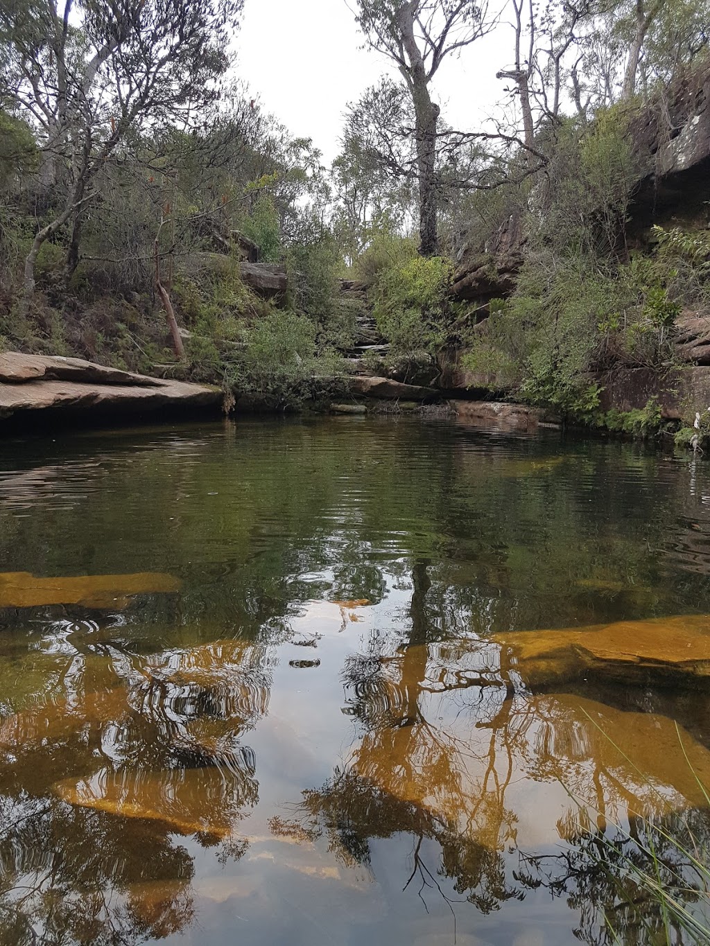 Popran National Park | Mangrove Mountain NSW 2250, Australia | Phone: (02) 9995 6500