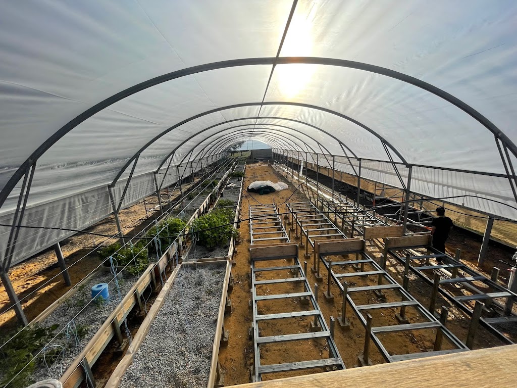 Maranatha Aquaponics | Lot 801, Dandaragan WA 6507, Australia | Phone: 0407 473 689