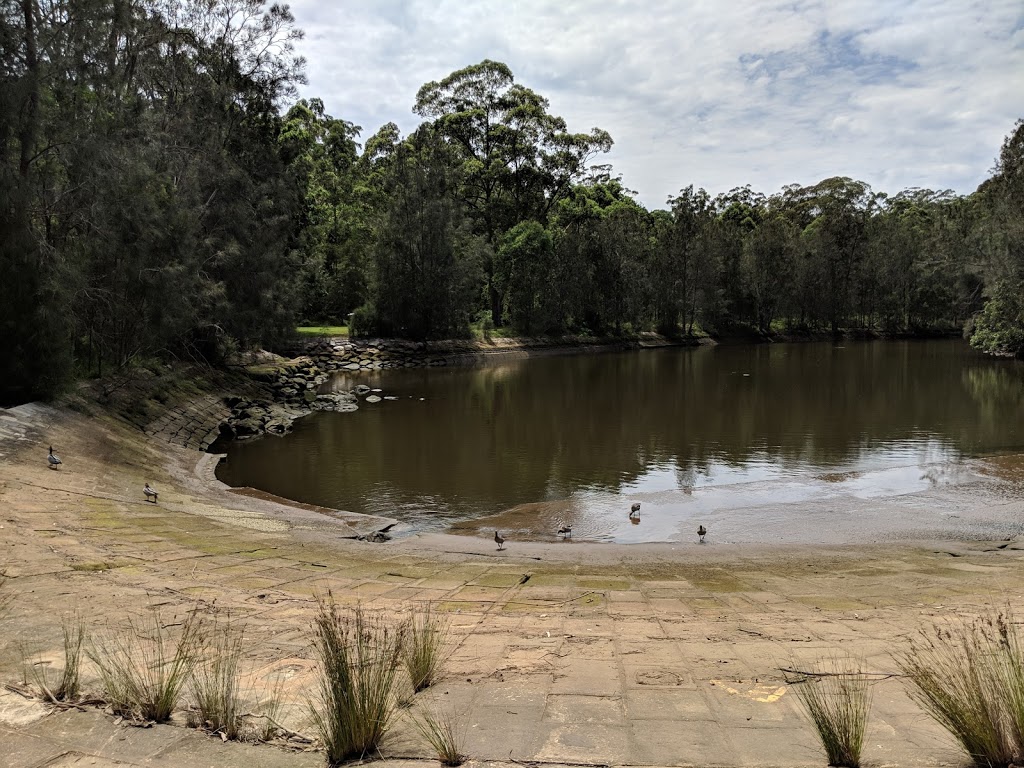 Lane Cove National Park | Naamaroo Trail, Lindfield NSW 2070, Australia