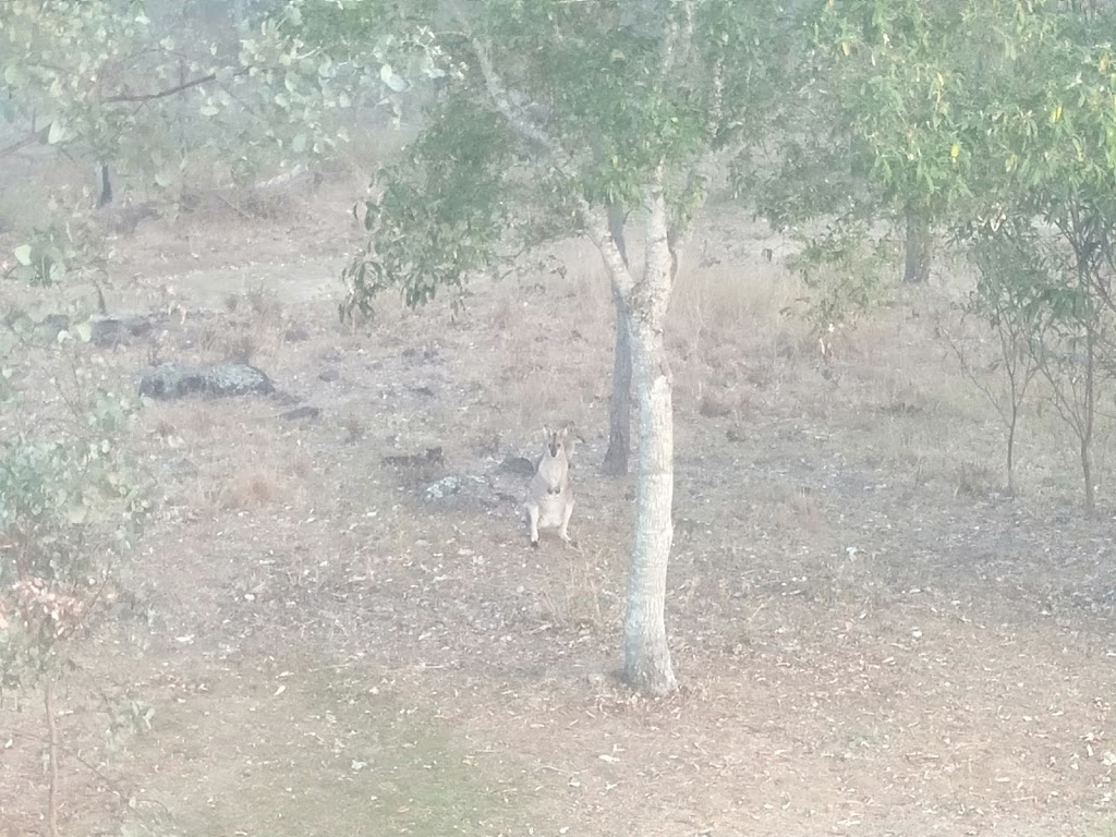 Resolute Stay Nature Refuge | 127 Oaky Creek Rd, South East Nanango QLD 4615, Australia