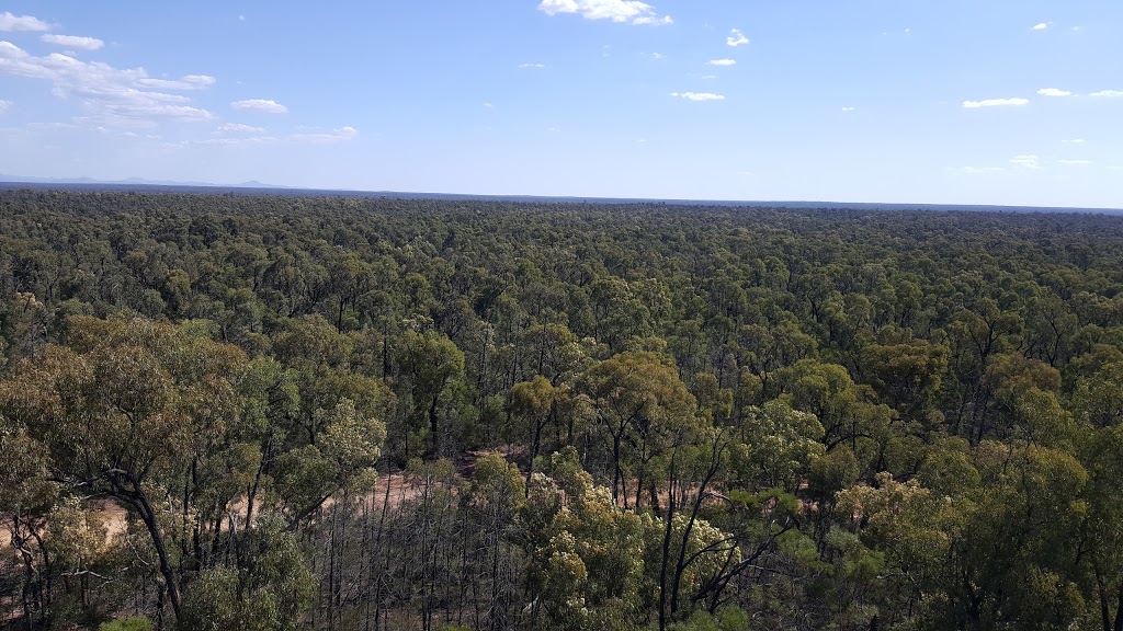 Pilliga Forest Discovery Centre | 50 Wellington St, Baradine NSW 2396, Australia | Phone: (02) 6843 4011