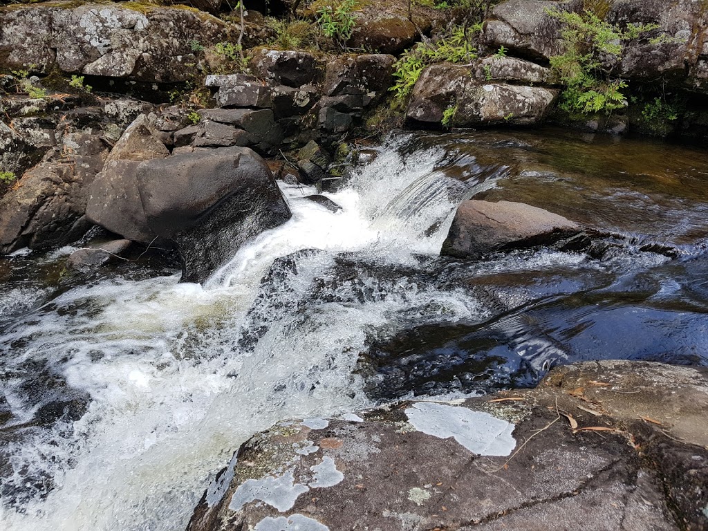 Barrington Tops National Park | New South Wales, Australia | Phone: (02) 6538 5300