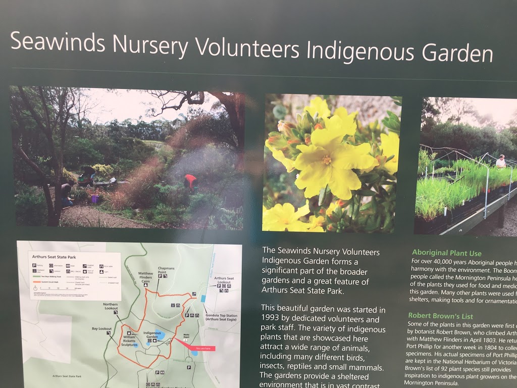 Seawinds Nursery Volunteers Indigenous Garden | park | 791 Arthurs Seat Rd, Arthurs Seat VIC 3936, Australia
