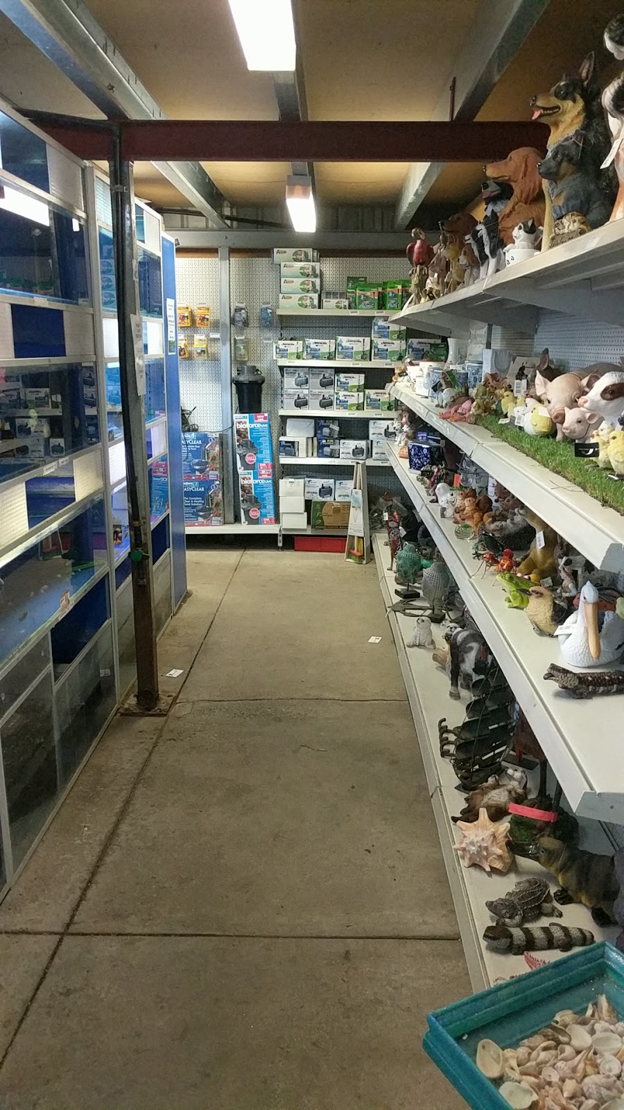 Bird and Fish Place | pet store | Cnr Welshpool & Lewis Rds, Wattle Grove WA 6107, Australia | 0894536044 OR +61 8 9453 6044
