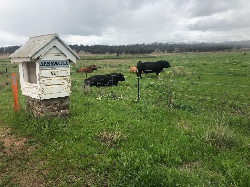 Native Angus Beef | Arrawatta Station, 550 Arrawatta Rd, Inverell NSW 2360, Australia | Phone: 0437 753 690