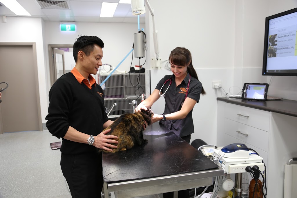 Lathlain Veterinary Clinic | 83 Roberts Rd, Lathlain WA 6100, Australia | Phone: (08) 9470 4445