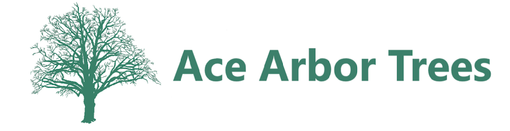 Ace Arbor Trees |  | Cousins Rd, Beacon Hill NSW 2100, Australia | 0299754013 OR +61 2 9975 4013