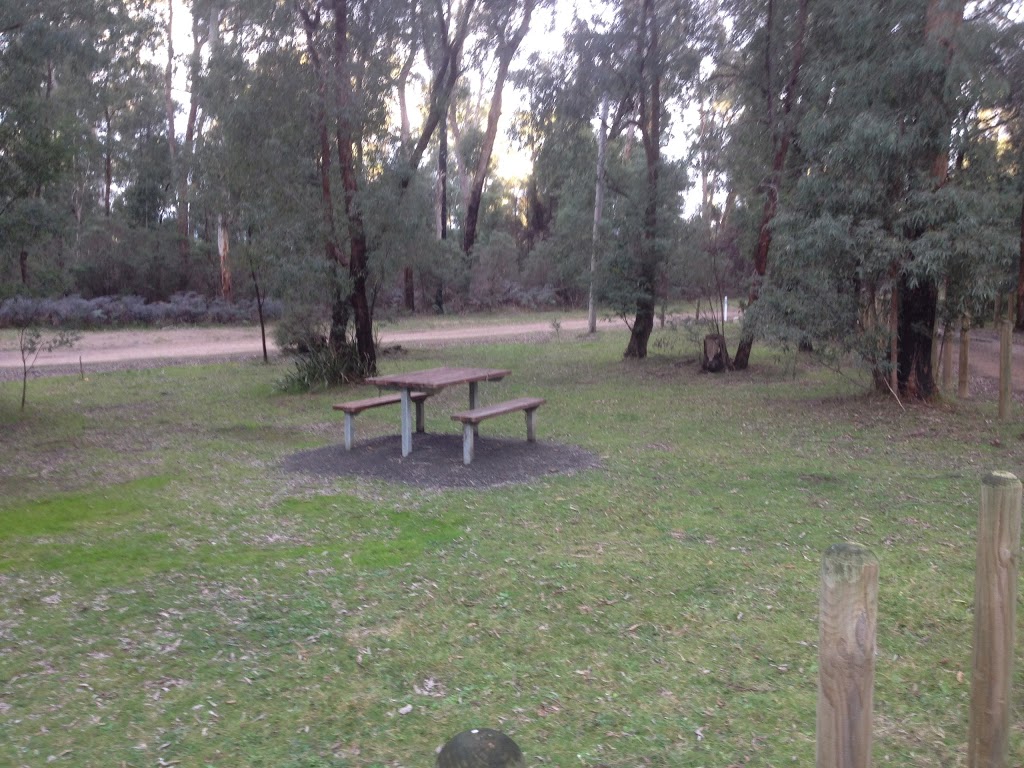 Buxton MTB park | park | Mill Creek Rd, Buxton VIC 3711, Australia