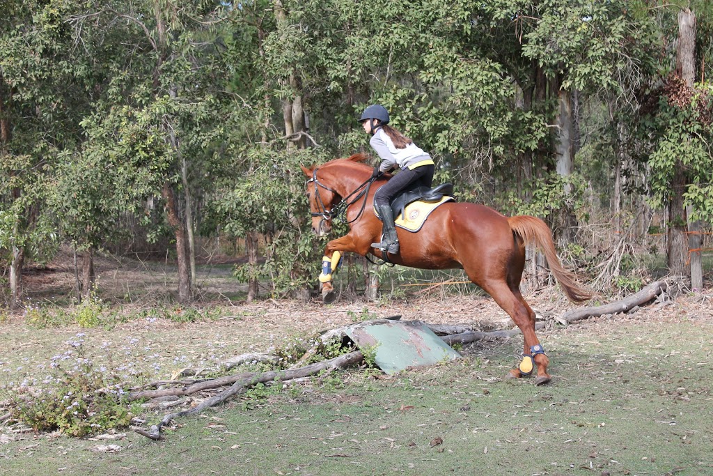 Dove Haven Equestrian Park | 1532 Waterford Tamborine Rd, Logan Village QLD 4207, Australia | Phone: 0402 992 115