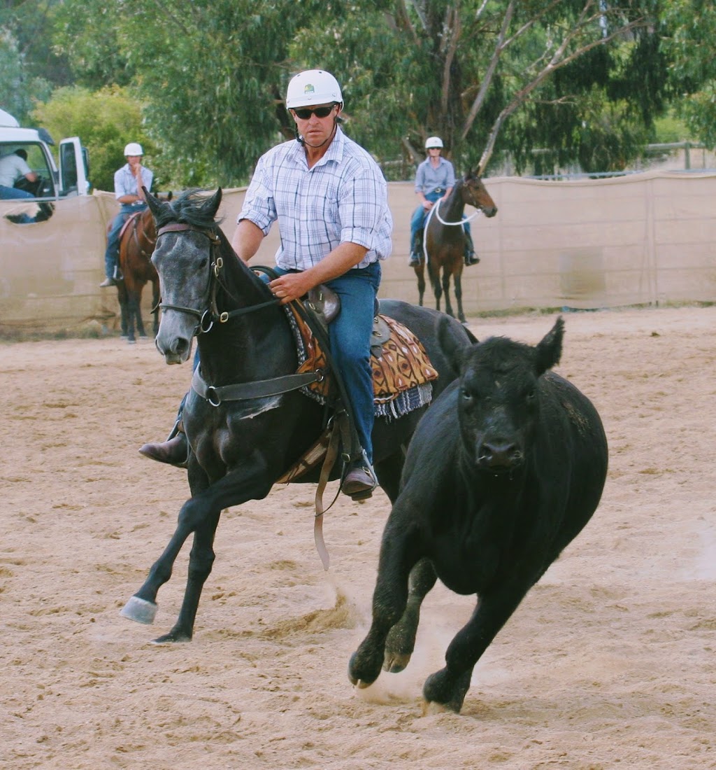 Geoff Willis Horse Trainer and Riding School |  | Avonlea, Ladysmith NSW 2652, Australia | 0427228210 OR +61 427 228 210