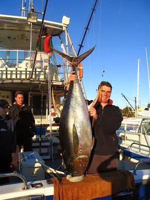 Extreme Fishing Charters Bermagui | Bermagui Harbour Wharf, Bermagui Co-Op, Bermagui NSW 2546, Australia | Phone: 0418 169 178