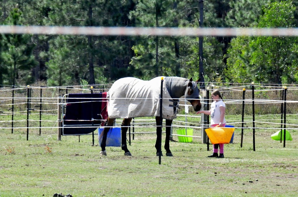 RIDEZ Equestrian |  | 554 Beenleigh Redland Bay Rd, Carbrook QLD 4130, Australia | 0449601899 OR +61 449 601 899