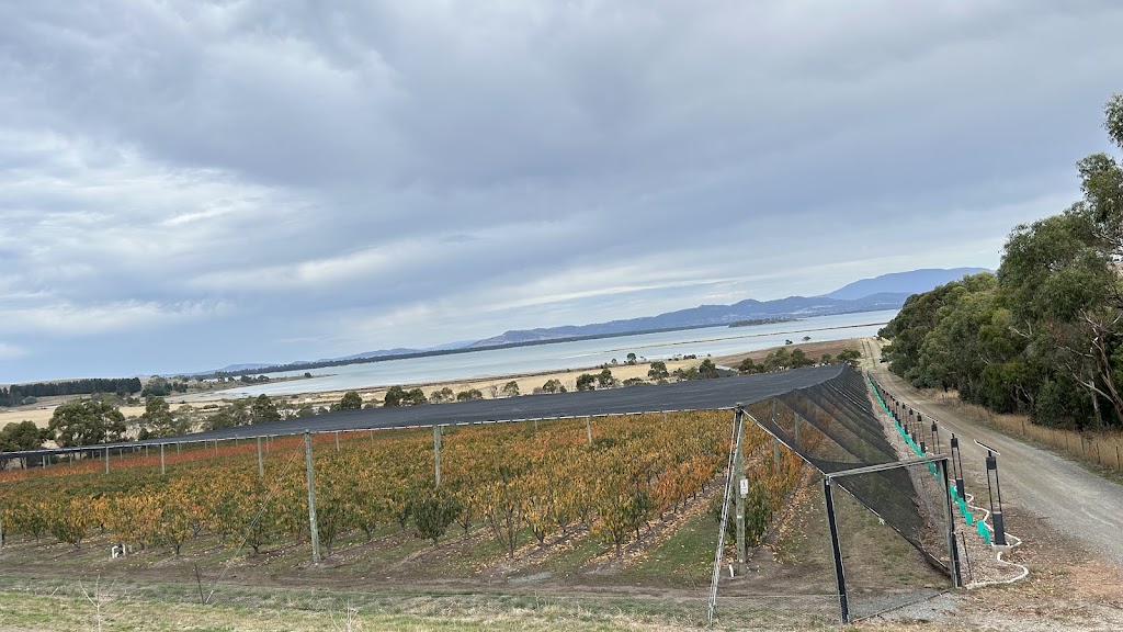ORANI Restaurant | 394 Arthur Hwy, Sorell TAS 7172, Australia | Phone: (03) 6292 5030