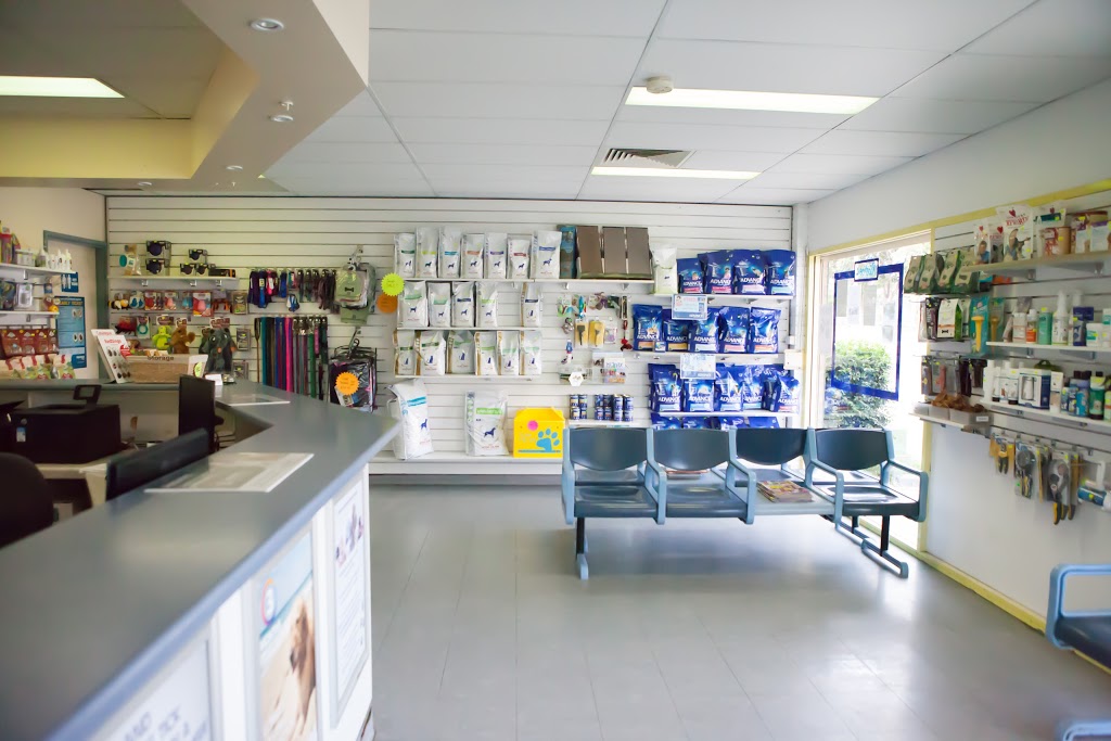 Albion Park Veterinary Hospital | pet store | 122A Tongarra Rd, Albion Park NSW 2527, Australia | 0242563638 OR +61 2 4256 3638