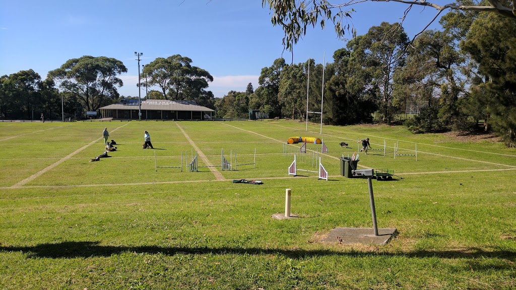 Sutherland Shire Dog Training Club Inc | Waratah Park, Rawson Ave, Sutherland NSW 2232, Australia | Phone: (02) 9521 1633