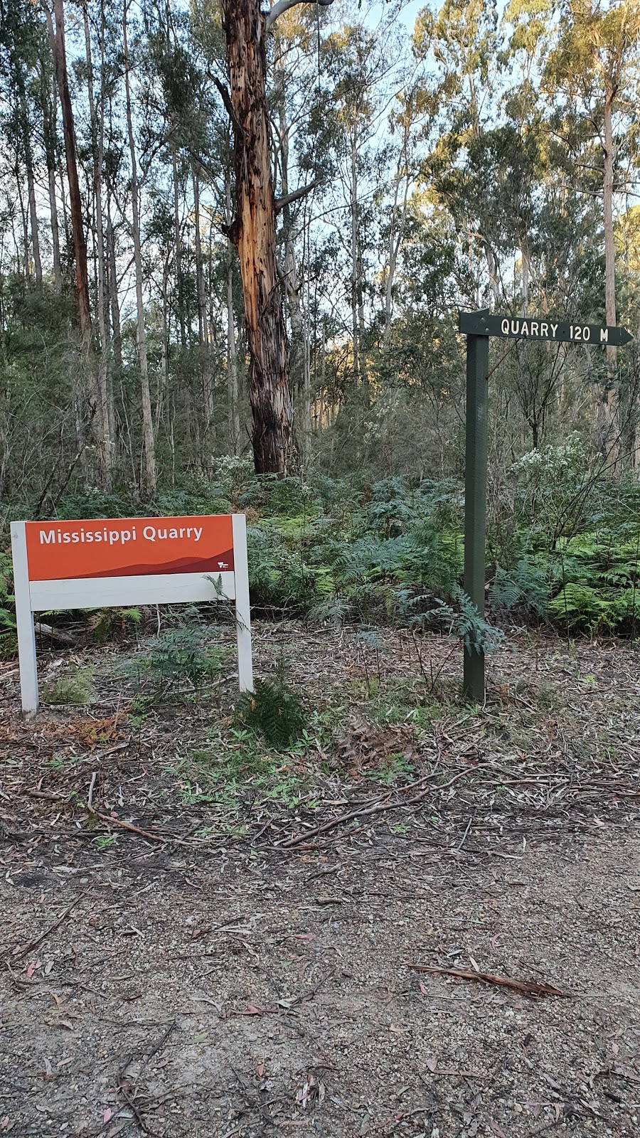 Mississippi Quarry | park | Quarry Rd, Kalimna West VIC 3909, Australia