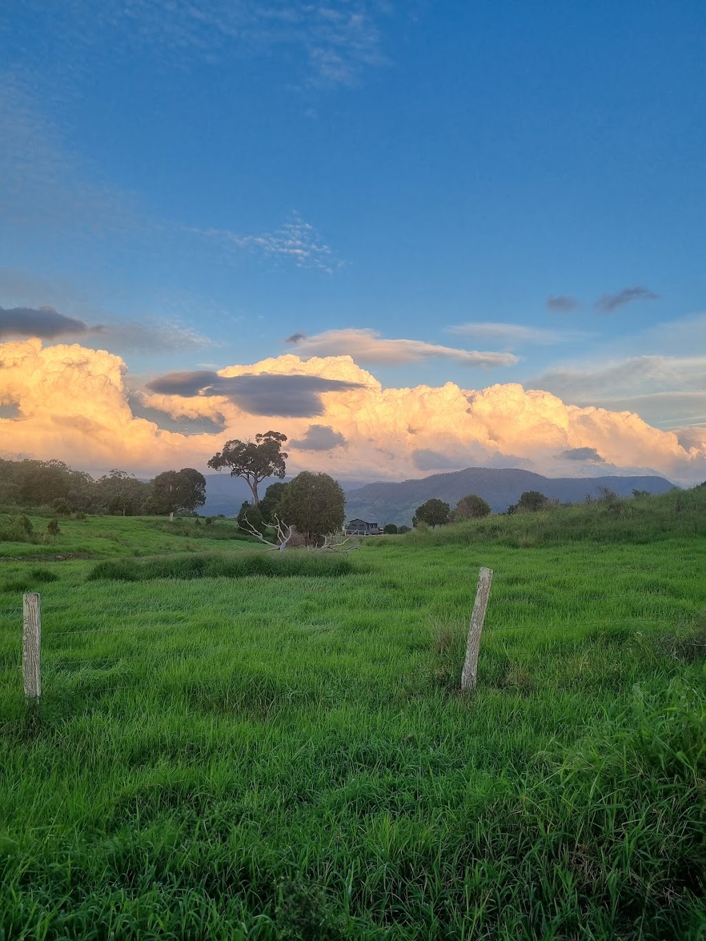 Valhalla Glamping | 394 W Haldon Rd, Woodbine QLD 4359, Australia | Phone: 0432 312 374