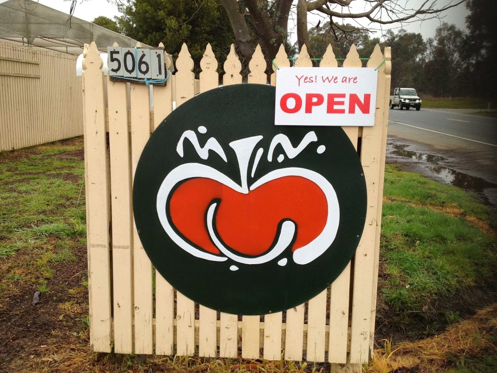 Australian Pumpkin Seed Company | 5061 Great Alpine Rd, Ovens VIC 3738, Australia | Phone: (03) 5752 1199