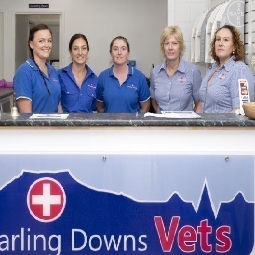 Darling Downs Vets | veterinary care | 97 Campbell St, Oakey QLD 4401, Australia | 0746919000 OR +61 7 4691 9000