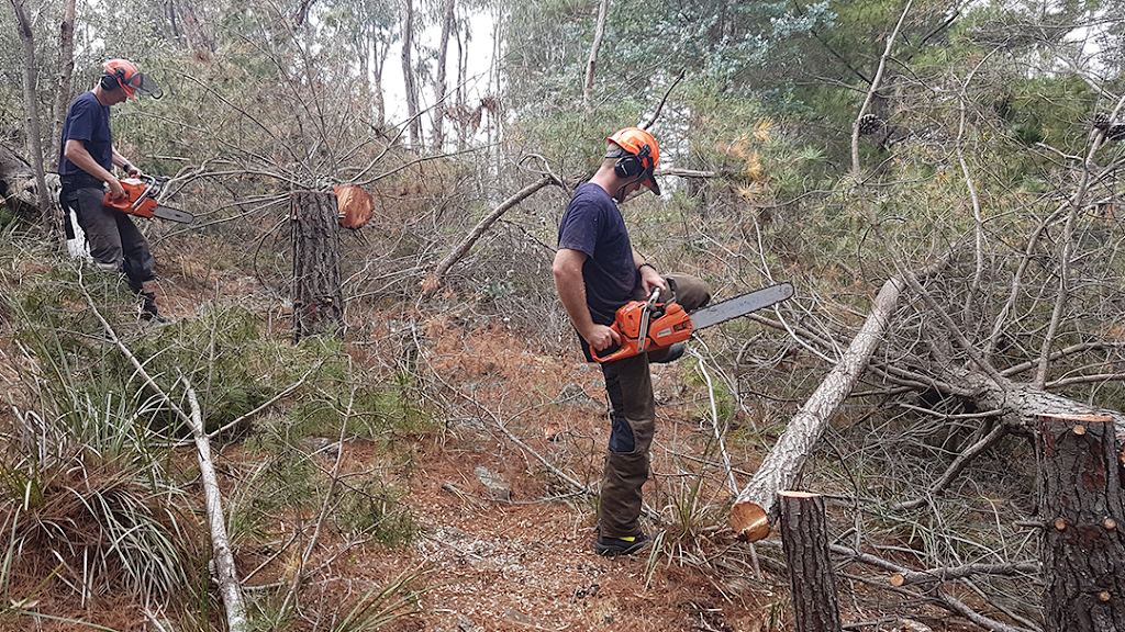 Climb High Tree Services |  | 880 Federal Hwy, Watson ACT 2602, Australia | 0402089736 OR +61 402 089 736