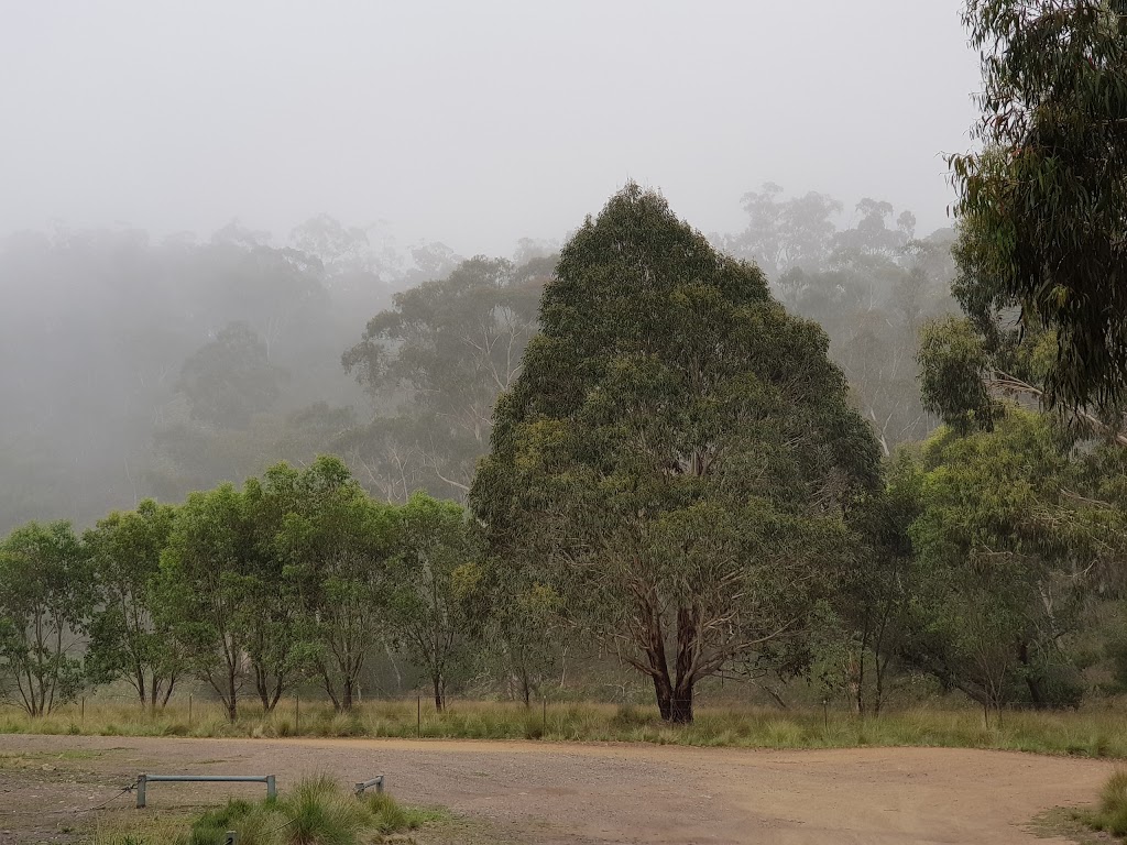 Dingo Dell camping area | campground | Kowmung River Firetrail, Jaunter NSW 2787, Australia