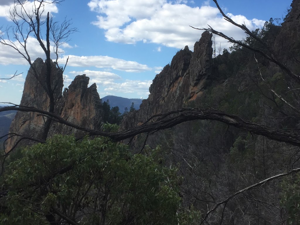 Breadknife and Grand High Tops walk | Pincham Rd, Warrumbungle NSW 2828, Australia | Phone: (02) 6825 4364