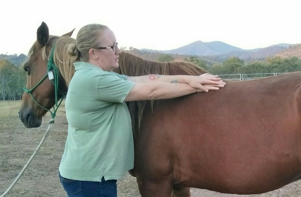 Wide Bay Equine Therapies |  | Seccombes Rd, Degilbo QLD 4621, Australia | 0421564916 OR +61 421 564 916