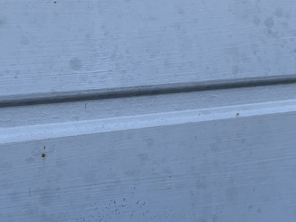 Port Macquarie house wash and pressure cleaning | 139 Park St, Port Macquarie NSW 2444, Australia | Phone: 0418 676 079