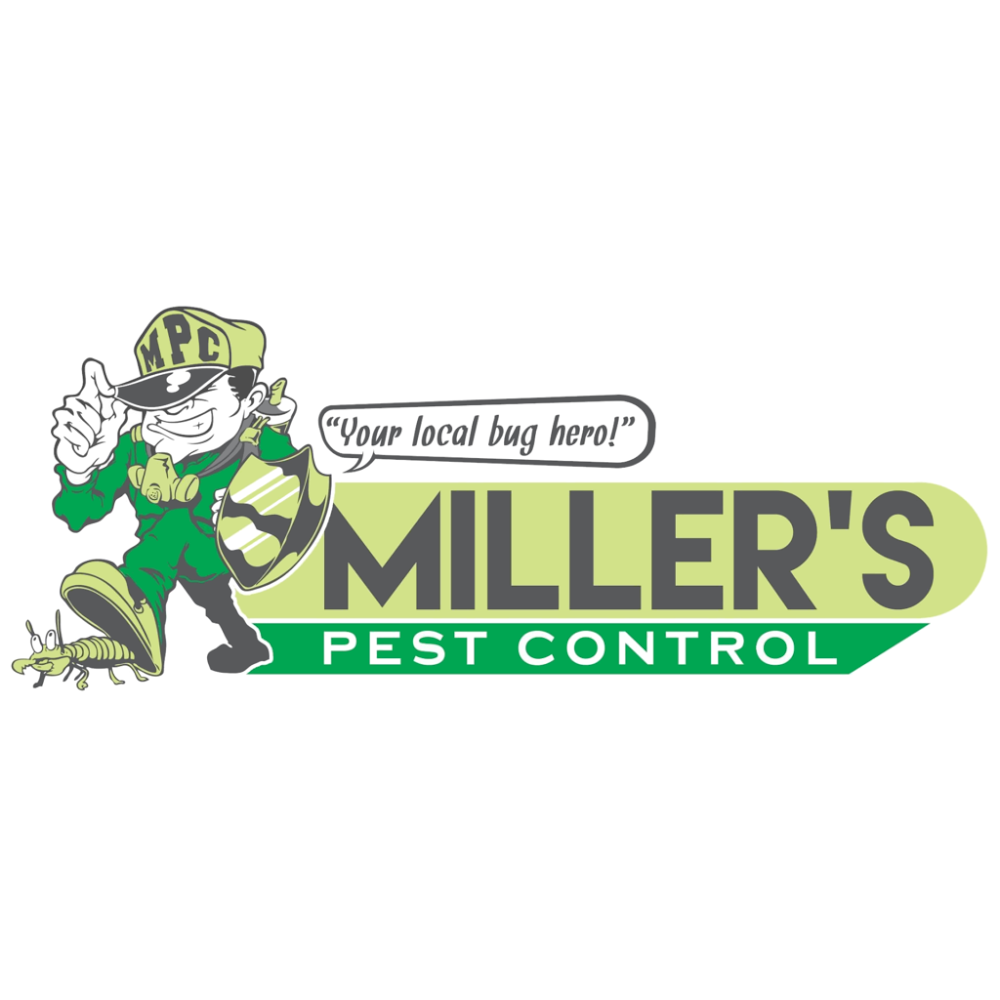 Millers Pest Control | 198 Wentworth St, Port Kembla NSW 2505, Australia | Phone: (02) 4276 4574
