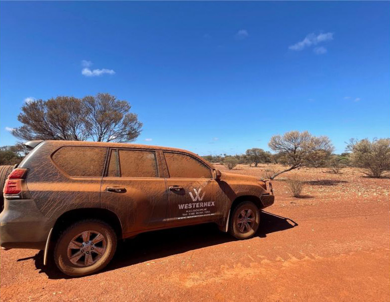 Westernex Kalgoorlie | 18 Kinclaven Way, Broadwood WA 6430, Australia | Phone: (08) 9091 1152