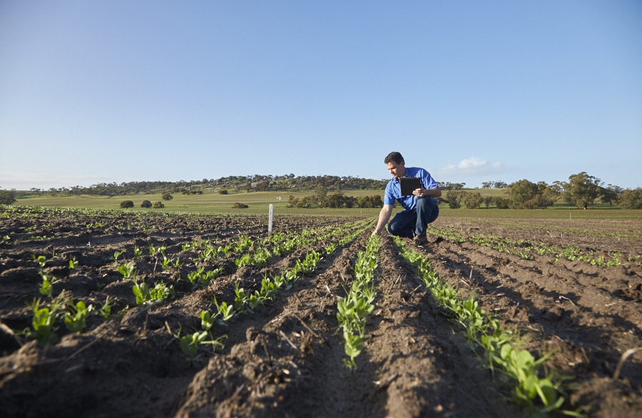 Muresk Institute WA | 1 Muresk Rd, Northam WA 6401, Australia | Phone: 1300 994 031