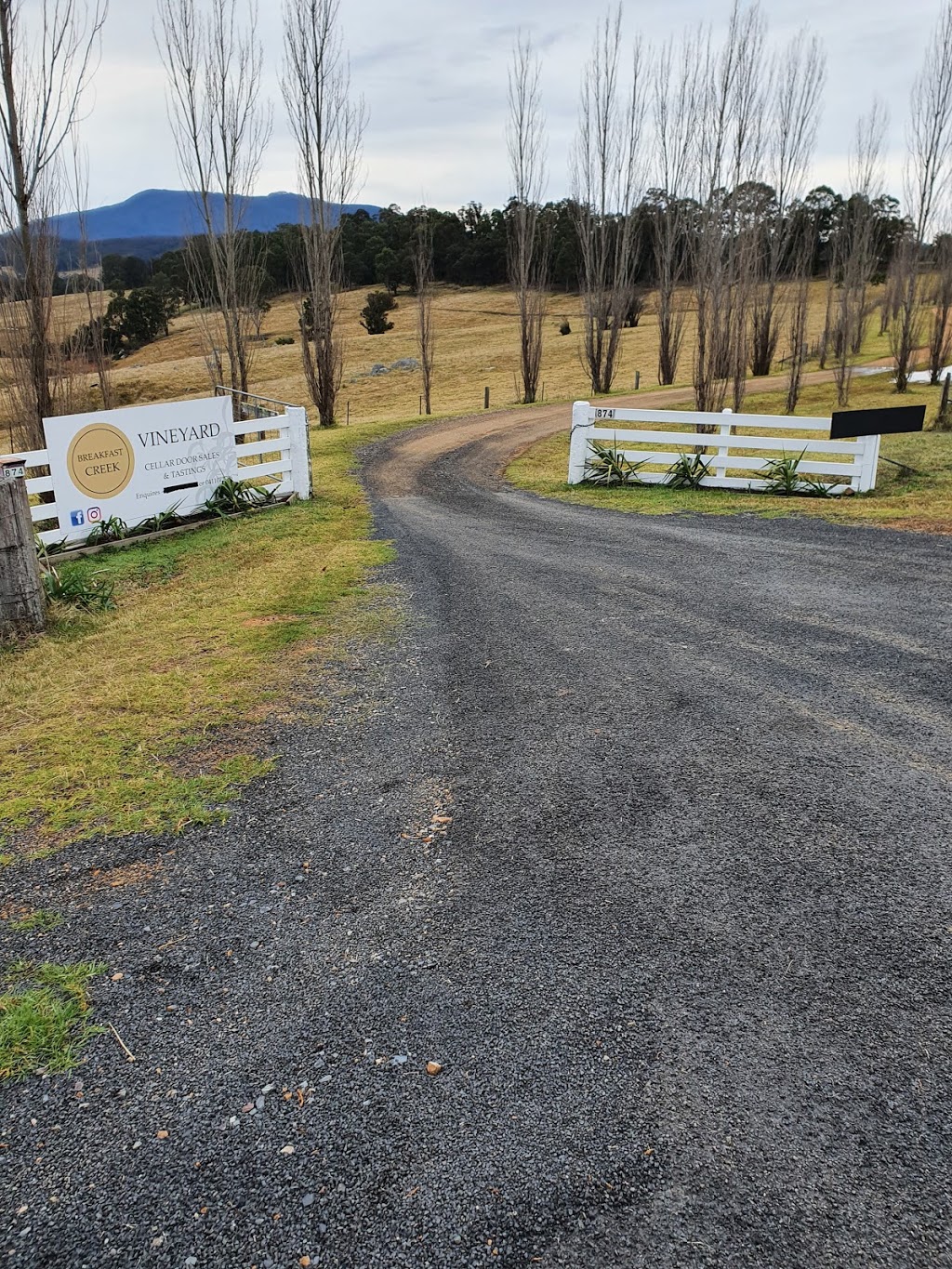 Breakfast Creek Vineyard |  | 874 Cobargo Bermagui Rd, Coolagolite NSW 2550, Australia | 0411073706 OR +61 411 073 706